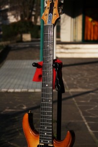 IMG 4526 